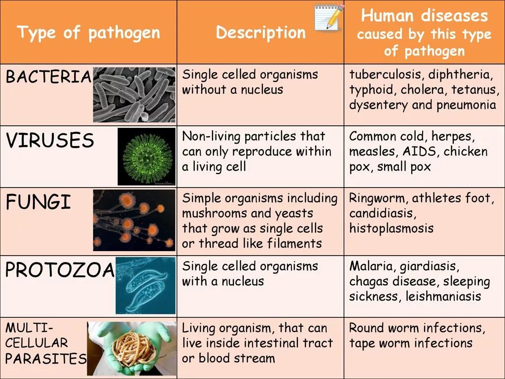 Causes of some diseases. Classification of Human parasites. Human disease