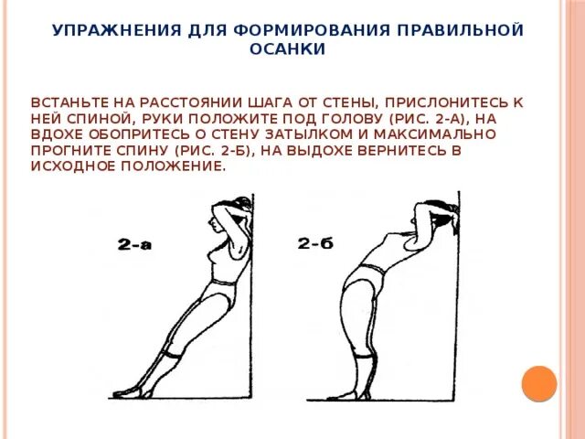 Комплекс упражнений для осанки. Упражнения для формирования правильной осанки. Комплекс ору для формирования осанки. Комплекс упражнений для формирования осанки кратко. Комплекс упражнений на формирование правильной осанки 4 класс.