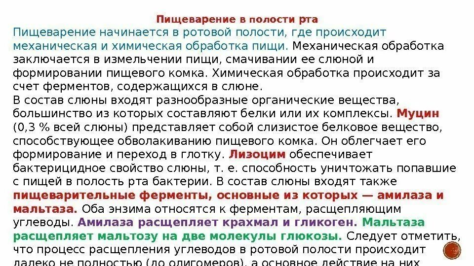 Факторы слюны. Процесс пищеварения в ротовой полости и желудке. Пищеворениев полости рта .. Пизеварение в полоси рата. Пищеварение в областт рта.