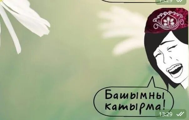 Жанам баш