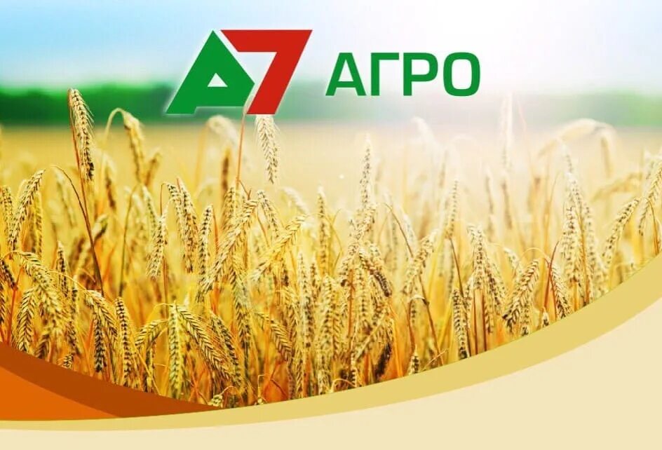 Агро оренбург. А7 агро оренбург. Ооо а7 агро оренбург. А 7 агро оренбург молоко. А7 агро оренбург.