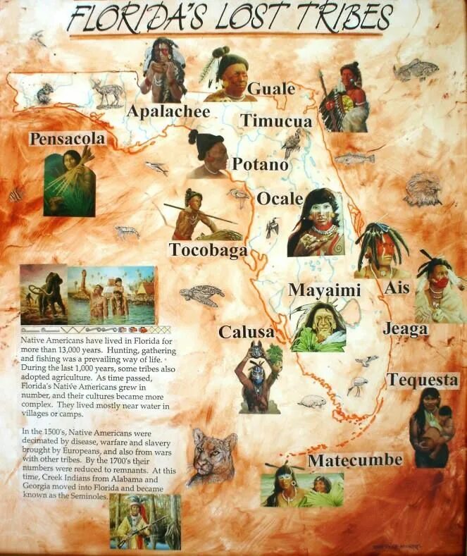 Native american lived. Native american tribes. native american tribes 5 класс. american indian tribes. флоридские индейцы.