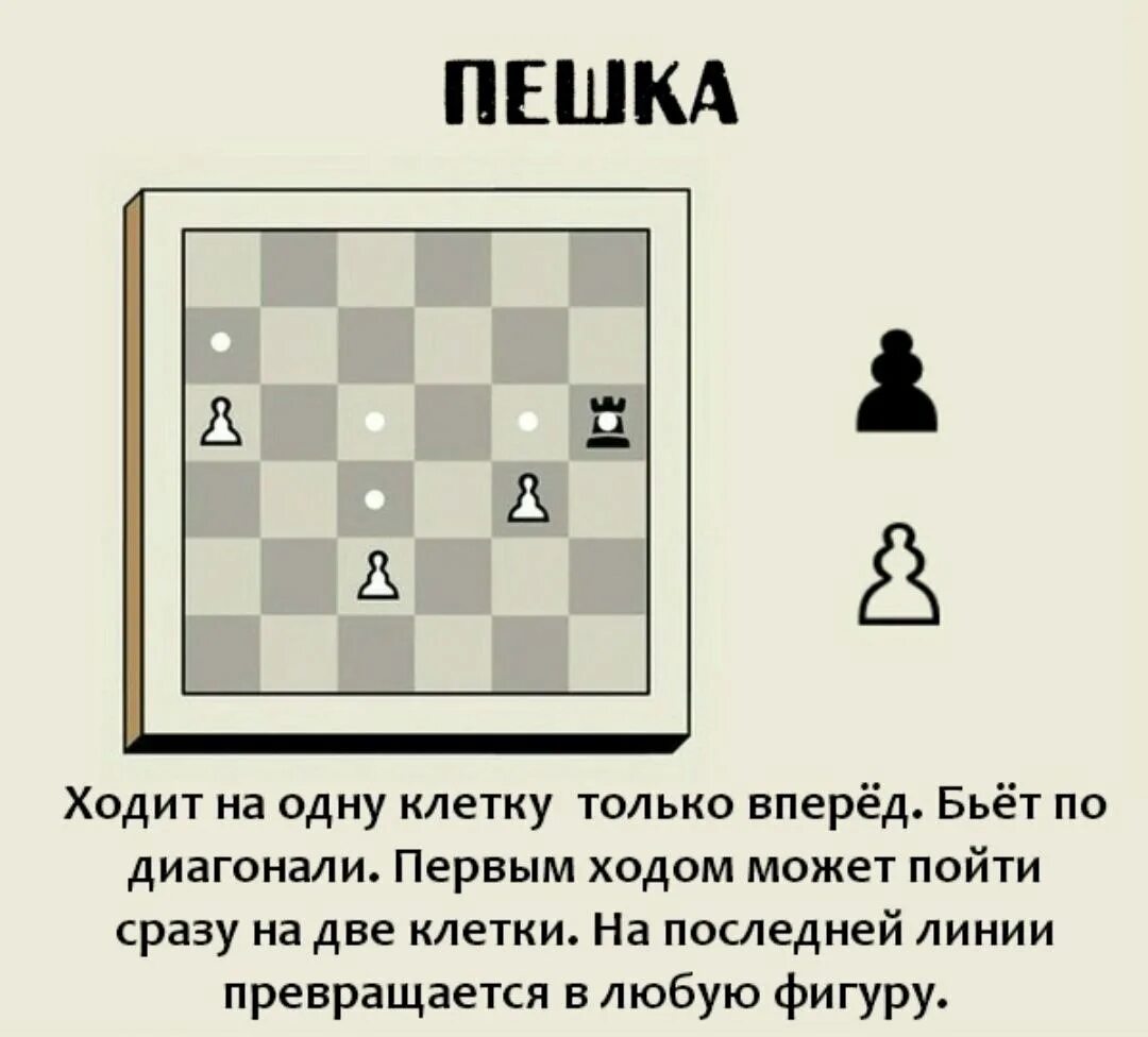 Какие есть игры в шахматы. Правила игры в шахматы для начинающих как ходят фигуры. правила в шахматах для начинающих как ходят фигуры. ходы фигур в шахматах для начинающих. как ходят фигуры в шахматах для новичков детей.