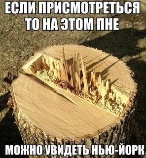 Издавна люди присматривались к древесине разных