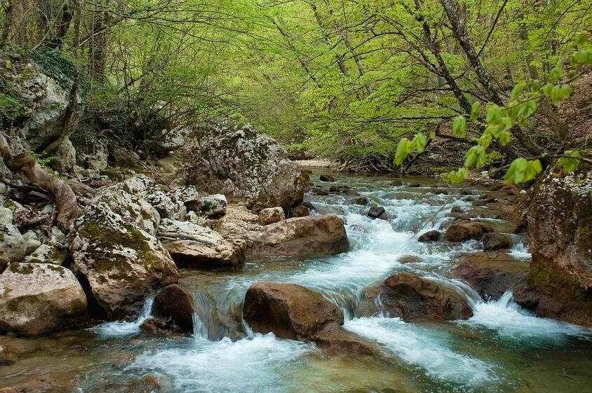 Речка альма в крыму. Горные реки крыма. Река коккозка в крыму. Река бельбек в крыму. Горные реки крыма.