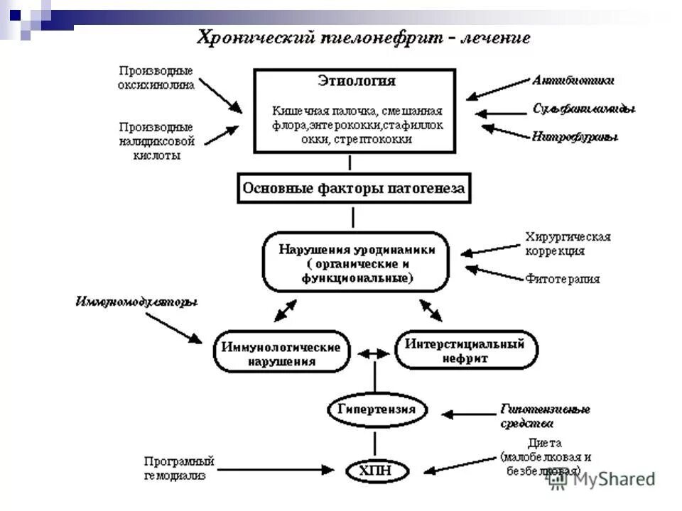 лечение хронического пиелонефрита схема лечения. схема лечения пиелонефрита. терапия при хроническом пиелонефрите. лечение хронического пиелонефрита схема лечения. лечение хронического пиелонефрита схема лечения.