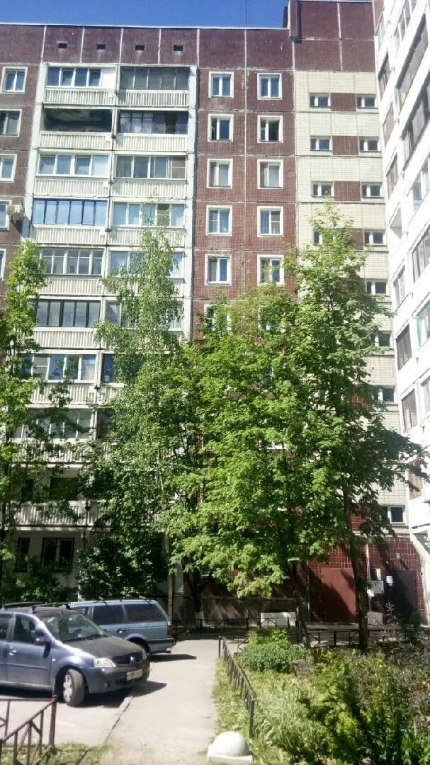 32. Камышовая 28 спб. Камышовой улице 28. Камышовая 38 к1. Камышовая 28 к 1.