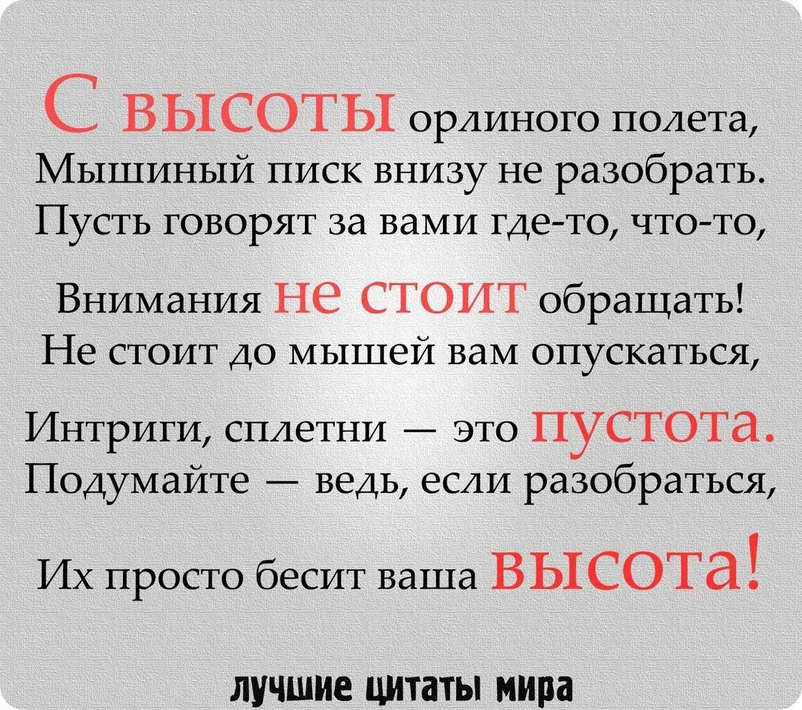 Вычурные фразы. Высказывания про сплетников. Афоризмы про сплетников и завистников. Афоризмы про сплетни. Высказывания про сплетни.