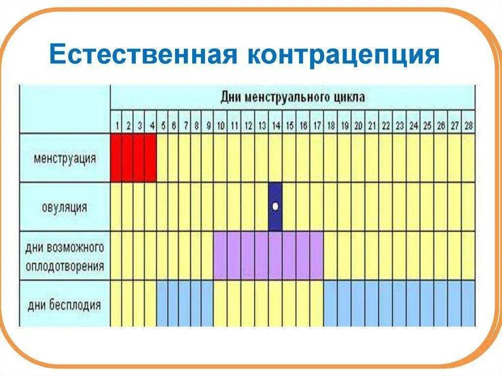 Какие 100 можно забеременеть