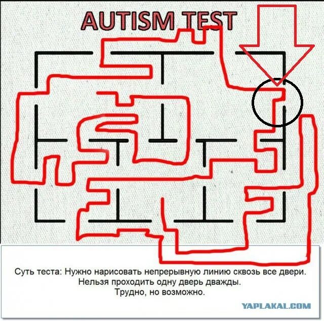Тест на аутистические расстройства. Тест на аутизм двери. Решение теста на аутизм. Проведите непрерывную линию через все двери. Непрерывная линия сквозь все двери.