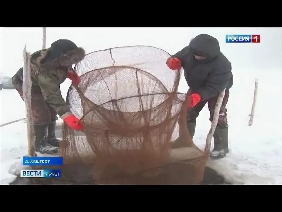 Погода рп5 горки шурышкарский. Погода рп5 горки шурышкарский. Погода рп5 горки шурышкарский. Село питляр. Погода рп5 горки шурышкарский.