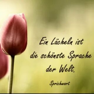 Für sie der