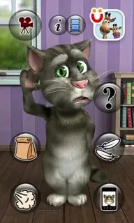 Cat tom 1