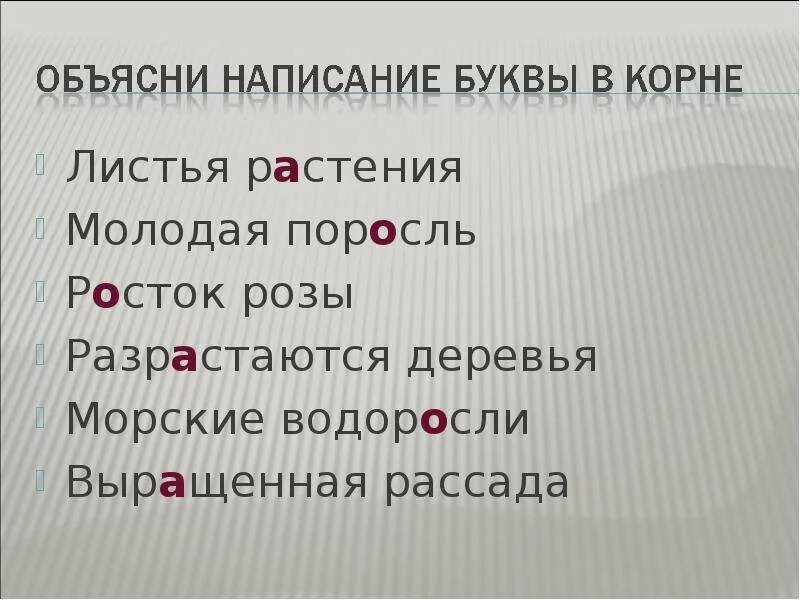 Водоросли однокоренные слова. Корневая поросль. Слово поросли. В корне русский язык 5 класс молодая поросль. Осина как размножается.