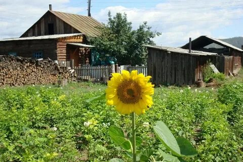 Работа в маленькой деревне