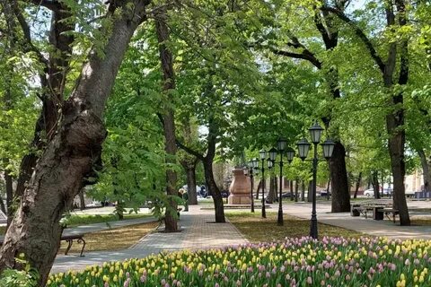 Воронеж за 1 день самостоятельно