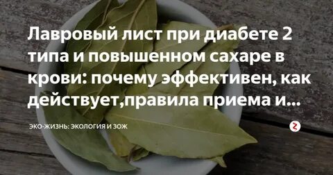 Как пить лавровый лист диабетикам