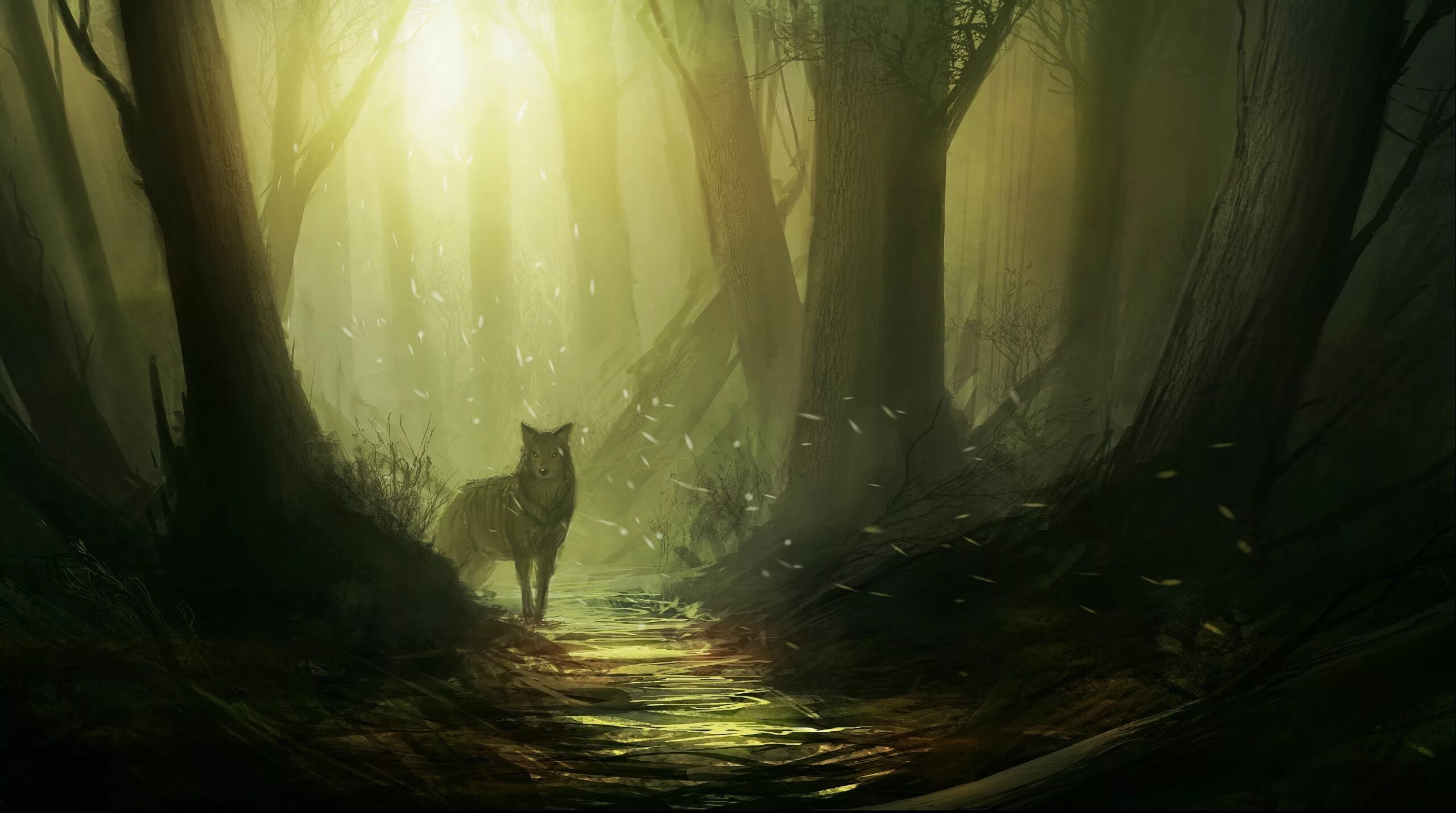 лисенок в темноте. лис на рабочий стол. лисица темного леса. лисица темного леса. Hioshiru feral fox.