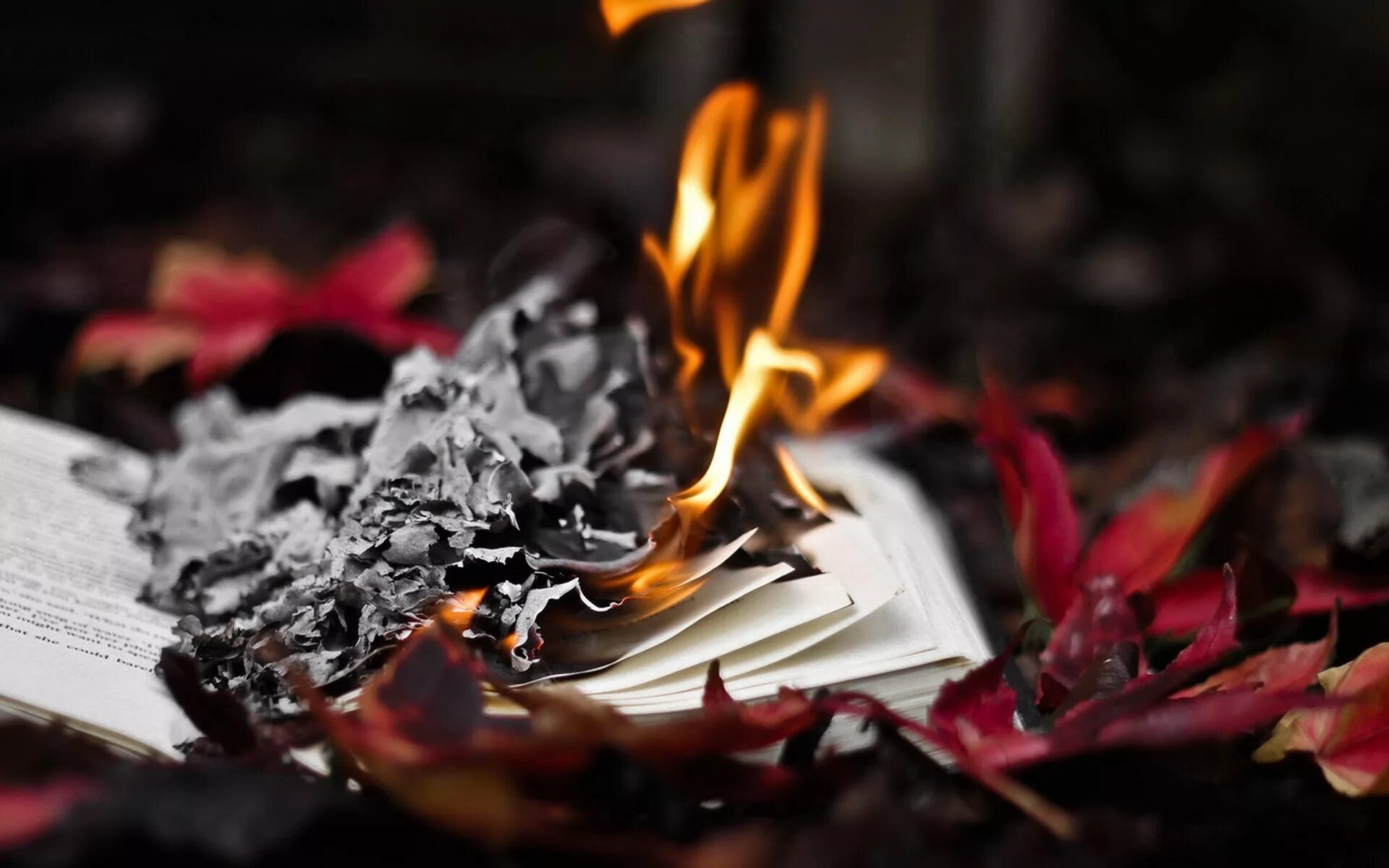 Сгоревшие мечты. Горящая книга. Книга с огнем. Рукопись в огне. Горящие листы бумаги.