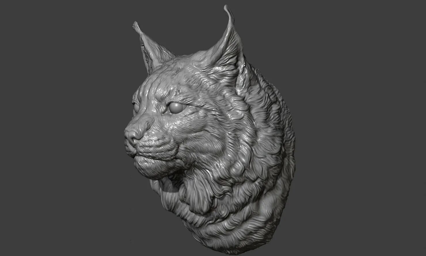 Lynx 3d model. Рысь 3d модель. 3-D модель Рысь STL. Голова рыси 3d модель.