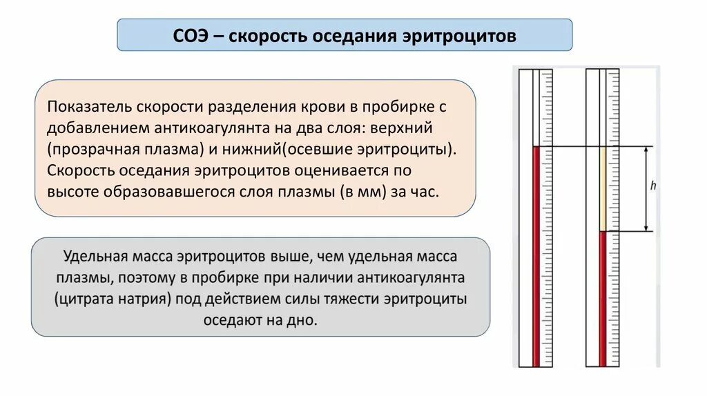 Без соэ. Методика определения СОЭ по Панченкову. Методика измерения СОЭ В крови. Оценка скорости оседания эритроцитов (СОЭ).. Скорость оседания эритроцитов метод Панченкова.