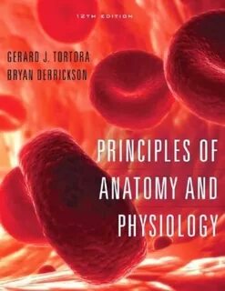 Anatomy pdf