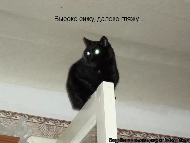 Смотрю далеко вижу. Смотрю далеко вижу. Высоко сижу далеко гляжу картинки прикольные. Воспоминания о любви. Стихотворение про ветер.