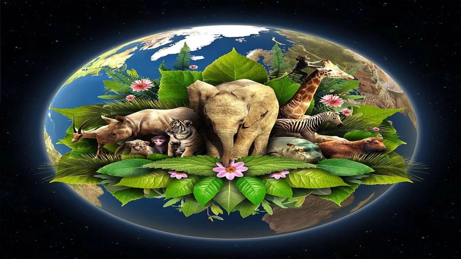Животные земли. Животные планеты земля. Природа живой планеты земля. Живая природа планеты.