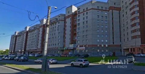 Просвещения 53