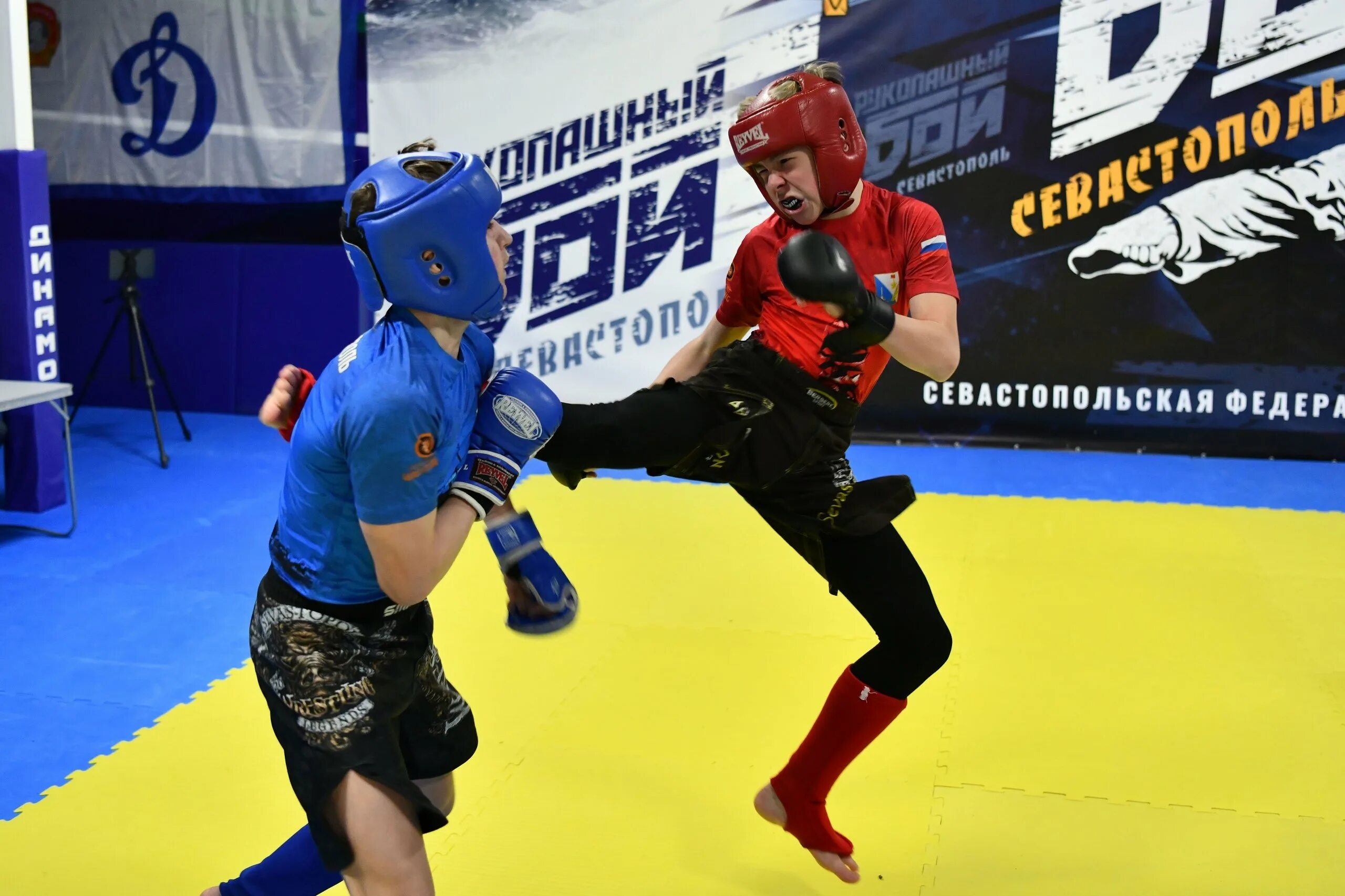 MMA Панкратион. Смешанные единоборства Панкратион. Панкратион девушки.