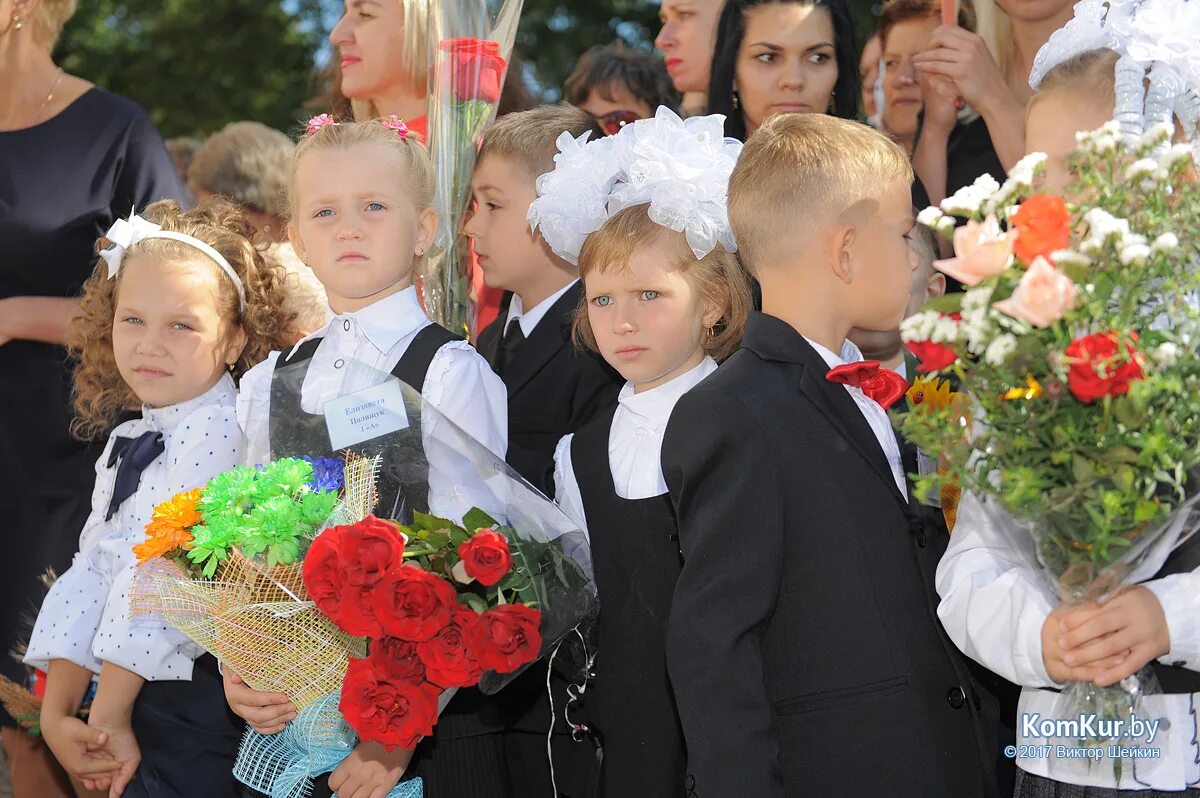 Бобруйск школа колледж искусств. Сш 2 бобруйск. Школа 2 бобруйск фото. Дши им оловникова бобруйск. Директор гимназии 2 г бобруйск.
