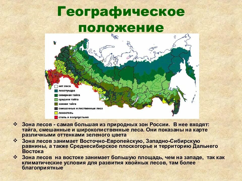 Климатические условия хвойных лесов. Зона смешанных и широколиственных лесов на карте россии. зона расположения смешанных и широколиственных лесов на карте россии. где находятся широколиственные леса на карте. зона широколиственных лесов на карте россии.