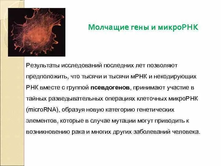 Молчащий геном. Молчащий геном. Геном человека презентация. Примеры модификаций. Молчащий геном.