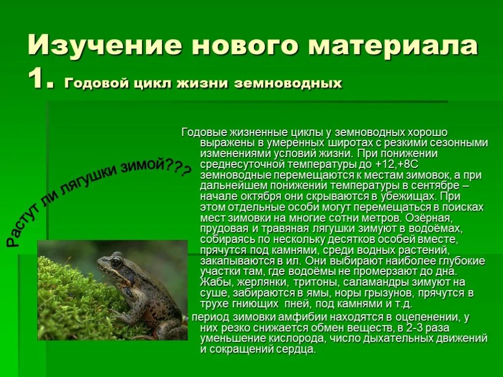 Тип развития у земноводных. Годовой жизненный цикл земноводных 7 класс. жизненный цикл лягушки zhiznennyy tsikl lyagushki. сезонные изменения в жизни земноводных. схема годового жизненного цикла земноводных.