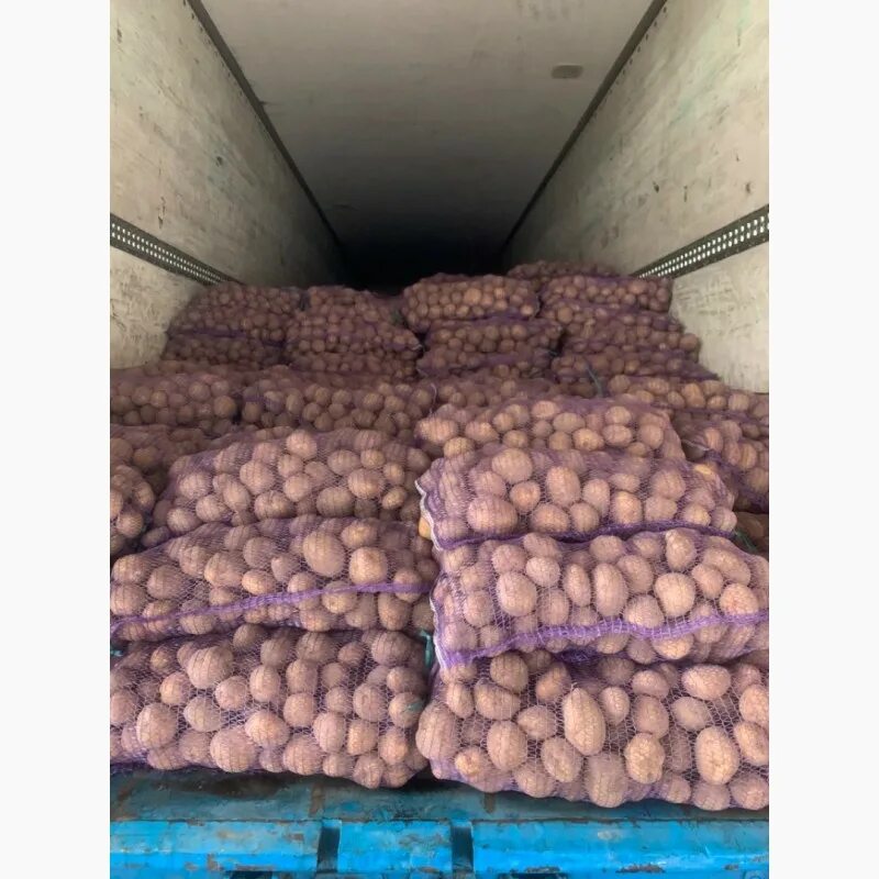 Семена фасоль спаржевая журавушка. Спаржевая фасоль семена. Фасоль сорта "журавушка". Семена фасоль спаржевая журавушка. Сорт картофеля журавинка.