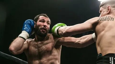 Зарабатывающий боксер