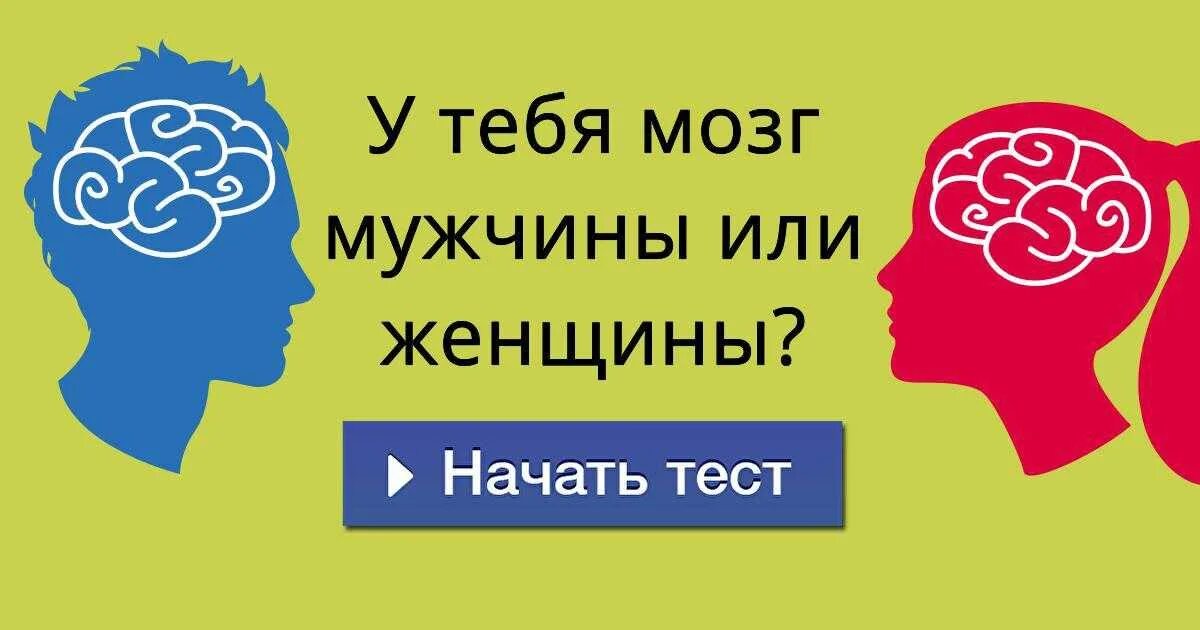 Мужской и женский мозг. Мозг мужчины и женщины. Мозг женщины. Мозг мужчины.