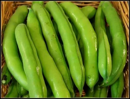 Bean am