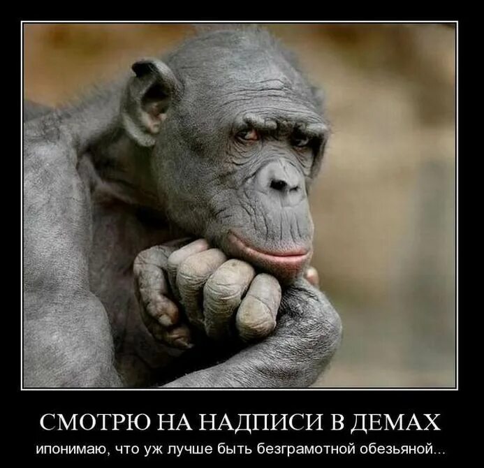 Не бывает пророка в своем отечестве