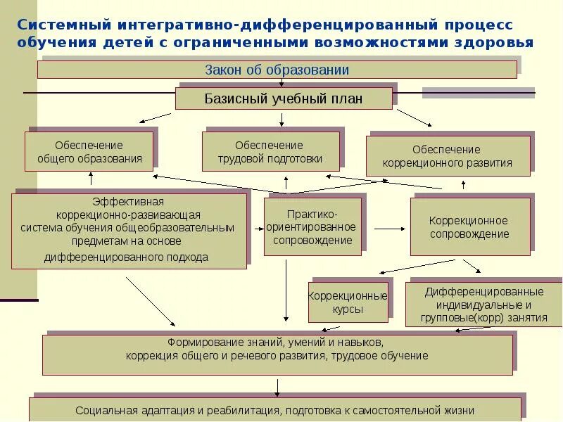 Организация дифференцированного обучения. Схема психолого педагогического сопровождения. Специальные подходы работы с детьми с ОВЗ. Система коррекционного образования. Схема нарушений детей с ОВЗ.