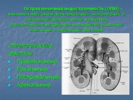 Как узнать почечную