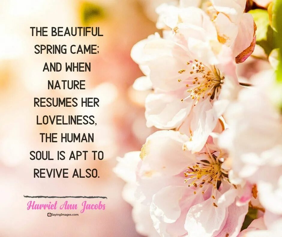 Spring comes перевод. Spring quotes. Spring comes quotes. Spring Soul. Spring цитаты на англ.