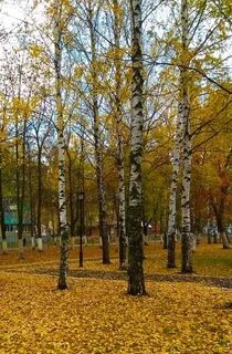 Октябрь мордовия