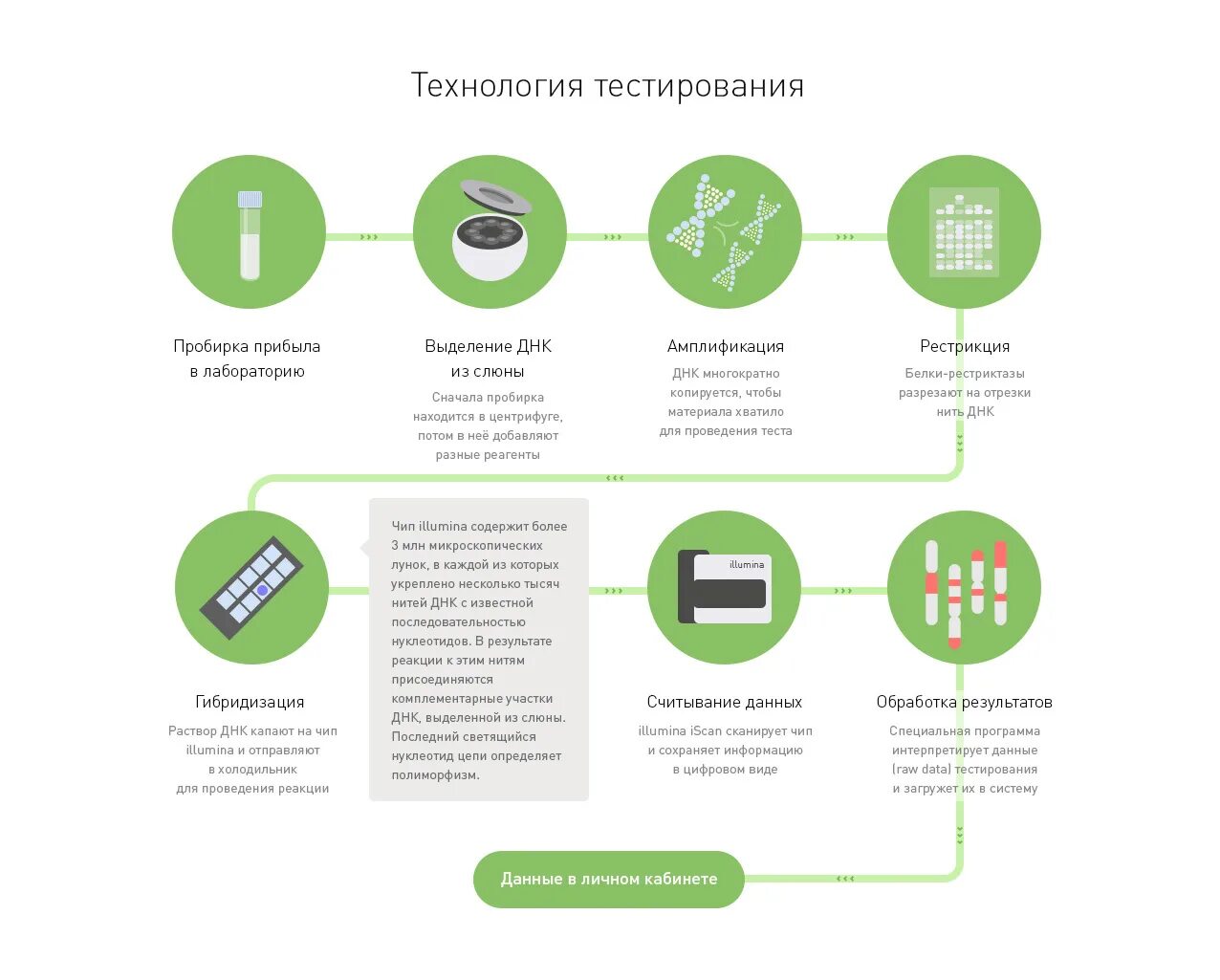 Где сделать генетический. Методы генетического тестирования. Генетический тест атлас. Генетический тест ДНК. Генетический тест пример.