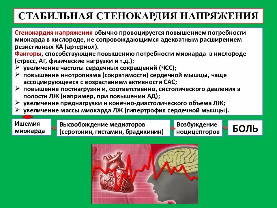 Фк стабильной стенокардии напряжения. Стенокардия напряжения. Стабильная стенокардия напряжения. ИБС стабильная стенокардия напряжения. Причины стенокардии напряжения.