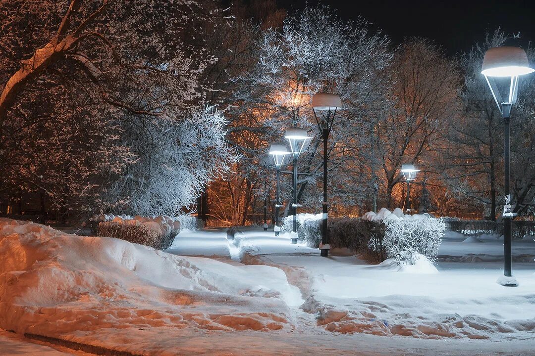 поздняя зима. зимний парк. зима. к вечеру. зимний вечер.