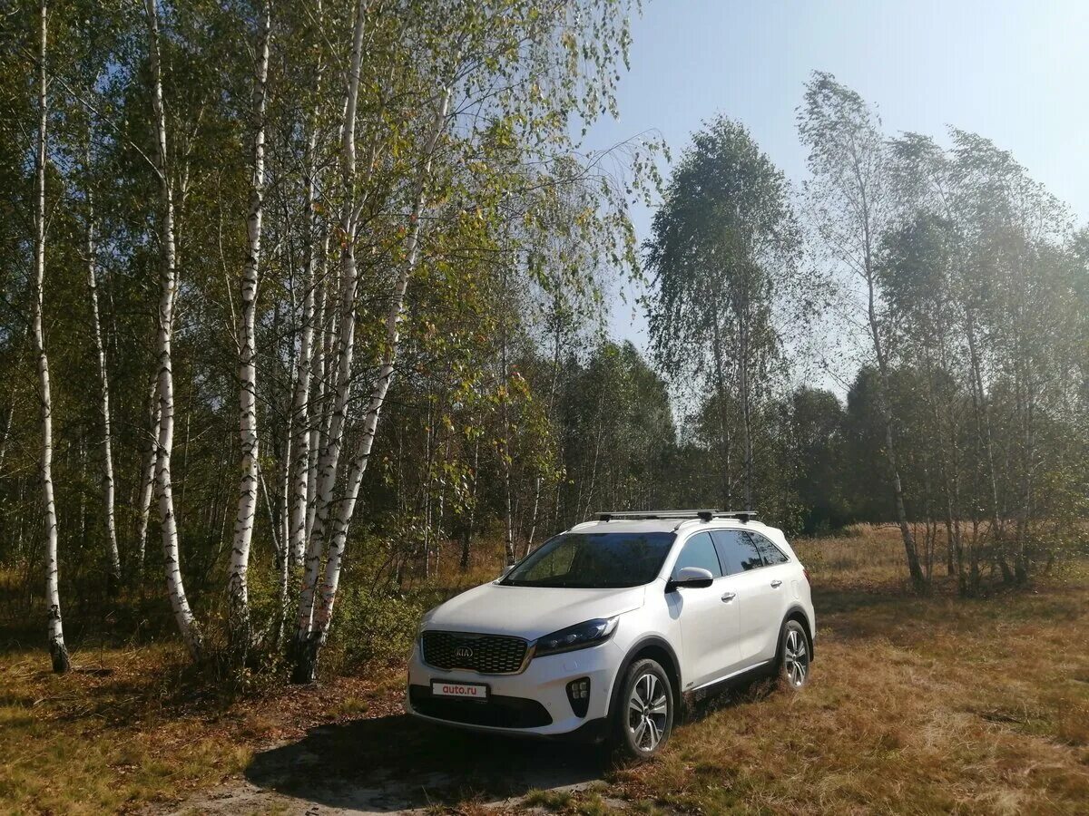 Соренто прайм 2.4. Киа 2.4 gdi соренто прайм. автопарковщик на киа соренто прайм. киа соренто прайм 2017 2.2 дизель размеры.