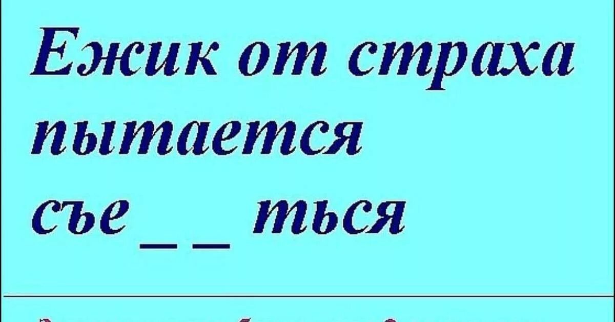 1 постро шь можно наде ться. Ежик от страха съе_ _ться. Еж от страха пытается съе ться. Ёжик от страха пытается. Ёжик от страха пытается съе_ться учебник.