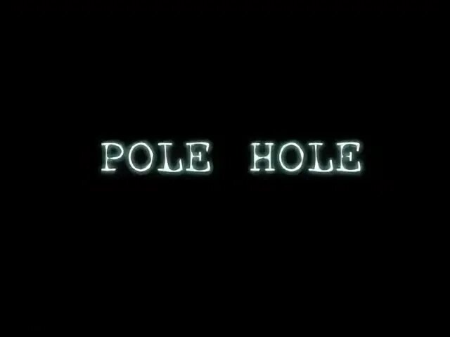 Hole pole