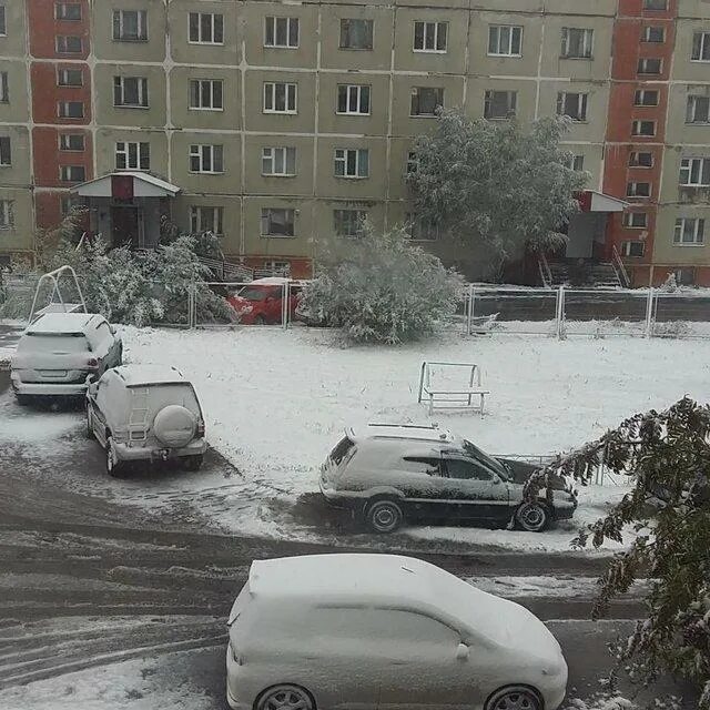 Россия выпал снег. Нерюнгри снег летом. Снег летом в России. Снегопад летом. Летом выпал снег в России.